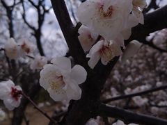 -北京鹫峰国家森林公园