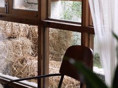 -Jo's Garden