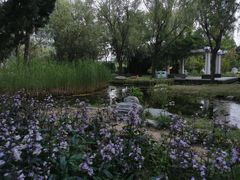 -郑东新区湿地公园