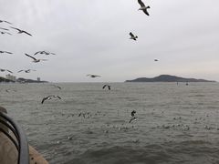 -幸福门