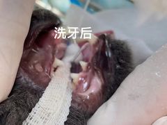 -贝康宠物医院·犬猫全科·小动物特色诊疗中心(东环路店)
