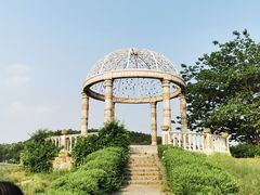 -大塘金香草谷