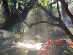 -Chom Cafe and Restaurant