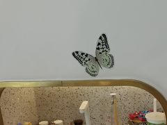 -拾光秀照相馆(石家庄勒泰中心店)