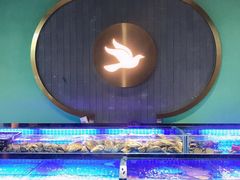 -鸽子侯·家宴·平价海鲜(市图书馆店)