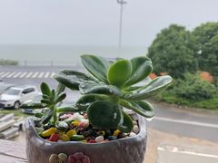-美味之家·湖景农家乐(太湖东山店)