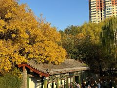-迎泽公园