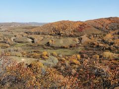 -塞罕坝国家级自然保护区