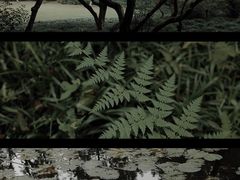 -杭州植物园