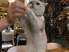 -小时光咖啡馆(北锣鼓巷店)