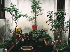 -月栖华明-云间草堂清茶馆(泗泾古镇店)