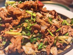 -秀儿四九城·新京菜(亚运村鸟巢店)