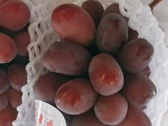 -马陆小张葡萄园农家乐