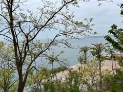 -渔公码头·九龙湾国际饭店