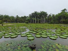 -中国科学院西双版纳热带植物园