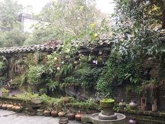 -青城甲(青城山店)