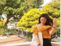 -胡志明市美术馆
