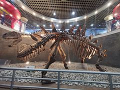 -国家自然博物馆