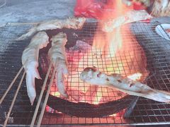 -东郊椰林