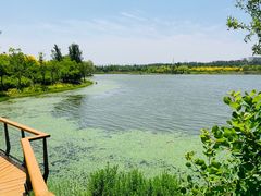 -东郊湿地公园