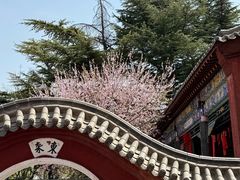 -抱犊寨风景区