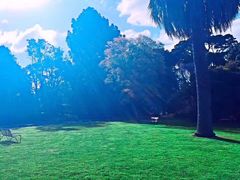 -墨尔本皇家植物园