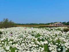 -江苏三台山国家森林公园