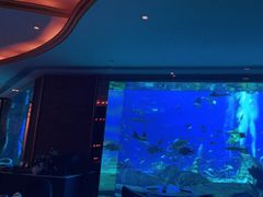 -亚特兰蒂斯•OSSIANO奥西亚诺海底餐厅