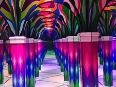 -成都梵高星空艺术馆(春熙路旗舰店)