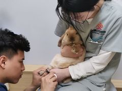 -惠康宠物医院(华能路店)