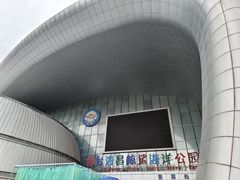 -烟台海昌鲸鲨海洋公园