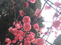 -白塘生态植物园