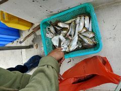 -观海轩餐厅(一线海景店)