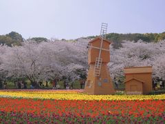 -苏州上方山国家森林公园