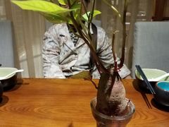 包房-十二舍·湯物素煮(江泰潤政店)