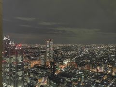 -东京都厅舍