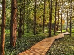 -北京植物园-展览温室