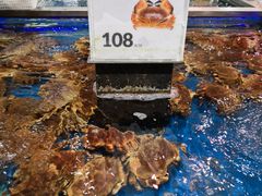 -盒马鲜生(红莲店)
