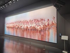 -罗红摄影艺术馆