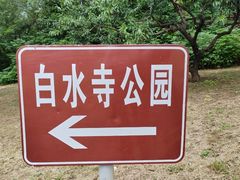 -白水寺森林公园