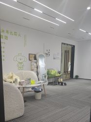 -凡碧诗毛孔清洁收细