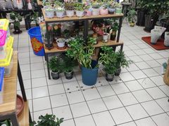 -大润发(张江店)