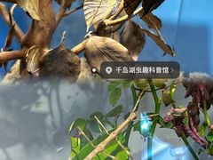 -绿城千岛湖喜来登度假酒店