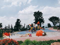 -铁山坪森林公园