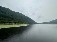 -腾冲北海湿地