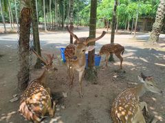 -海南热带野生动植物园