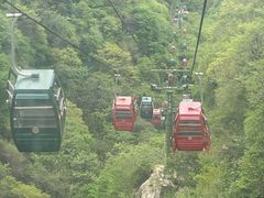 -王顺山国家森林公园