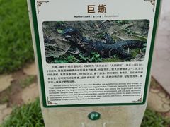 -野象谷景区