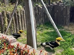 -上海野生动物园