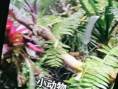 -北国商城